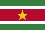 Suriname Flagge